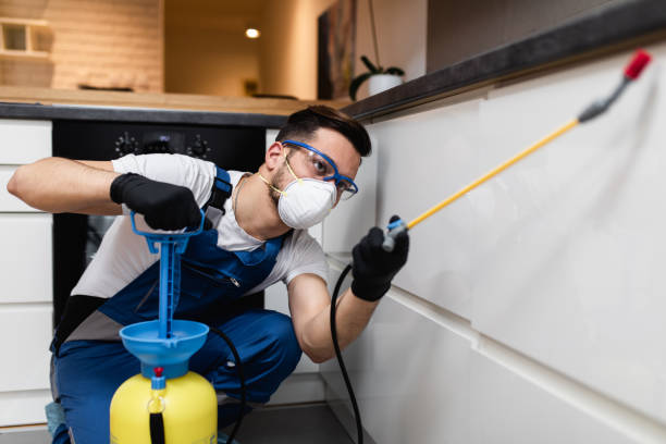 Best Rat Extermination Near Me  in North Hills, NY