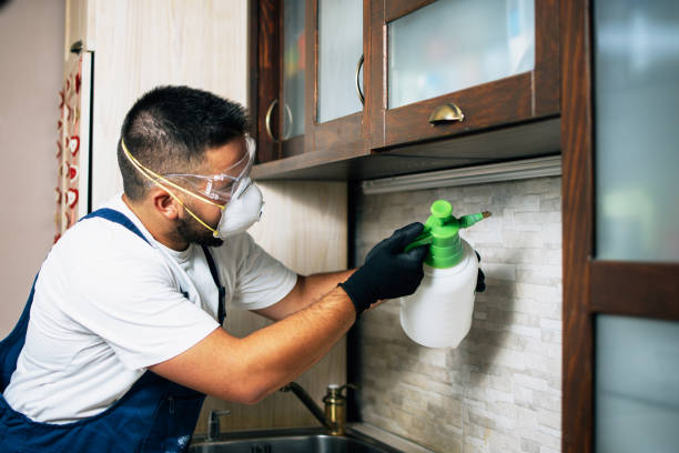 Best Affordable Pest Control Services  in North Hills, NY