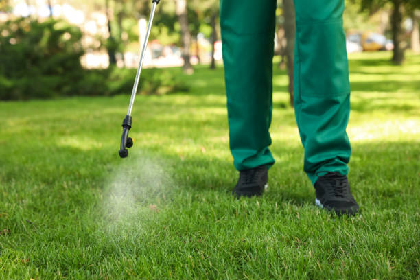 Best Bird Control  in North Hills, NY
