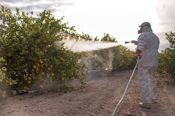 Reliable North Hills, NY Pest Control Solutions